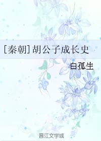 [Qin Dynasty] Hu Gongzi's Growth History