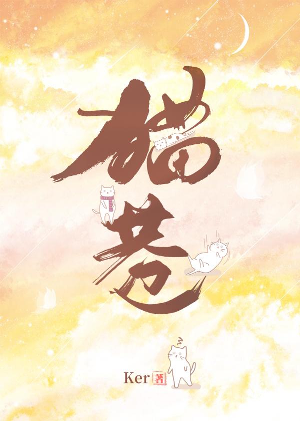 cat alley