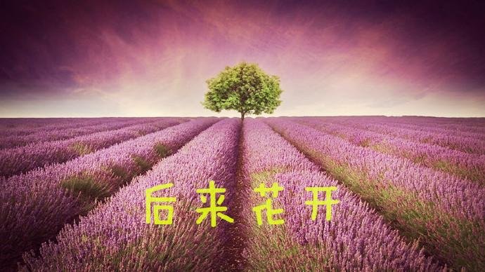 later bloom